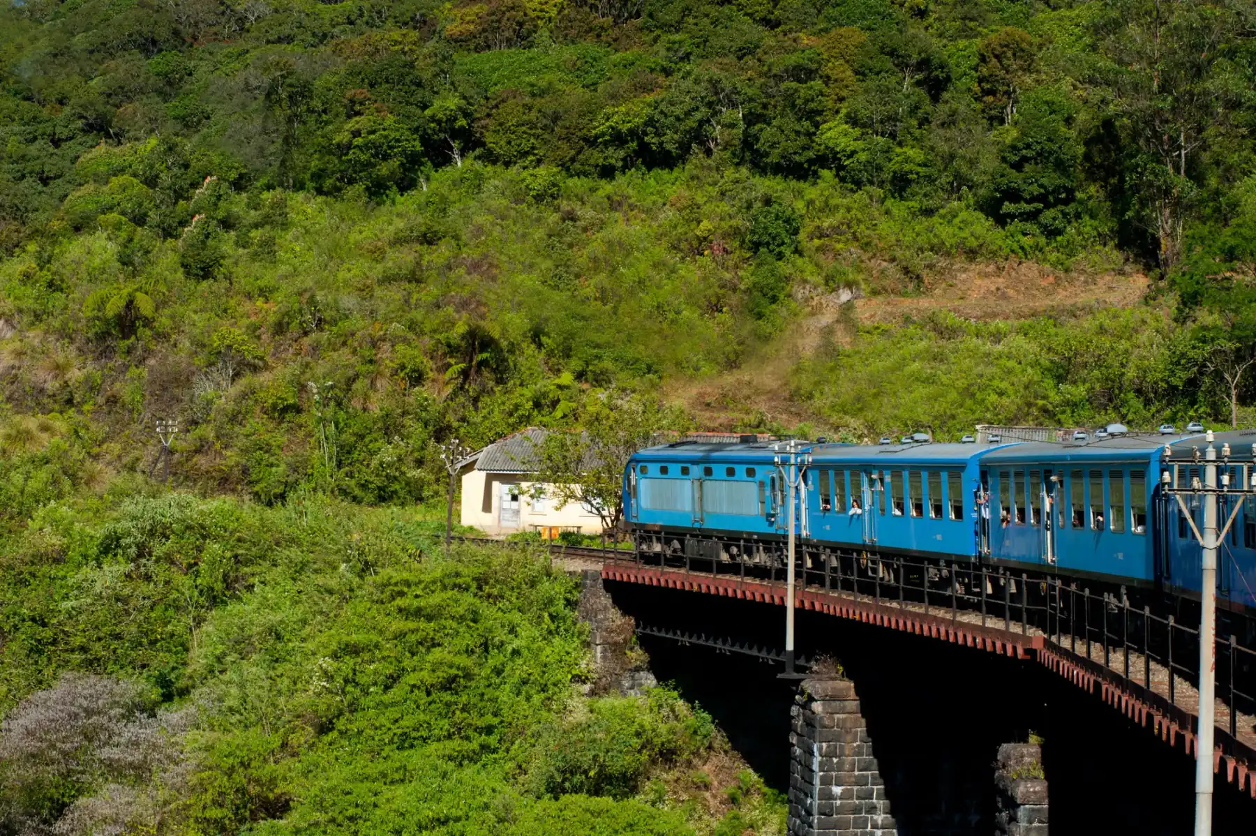 A train winding through green hills near Ella on a bright day.