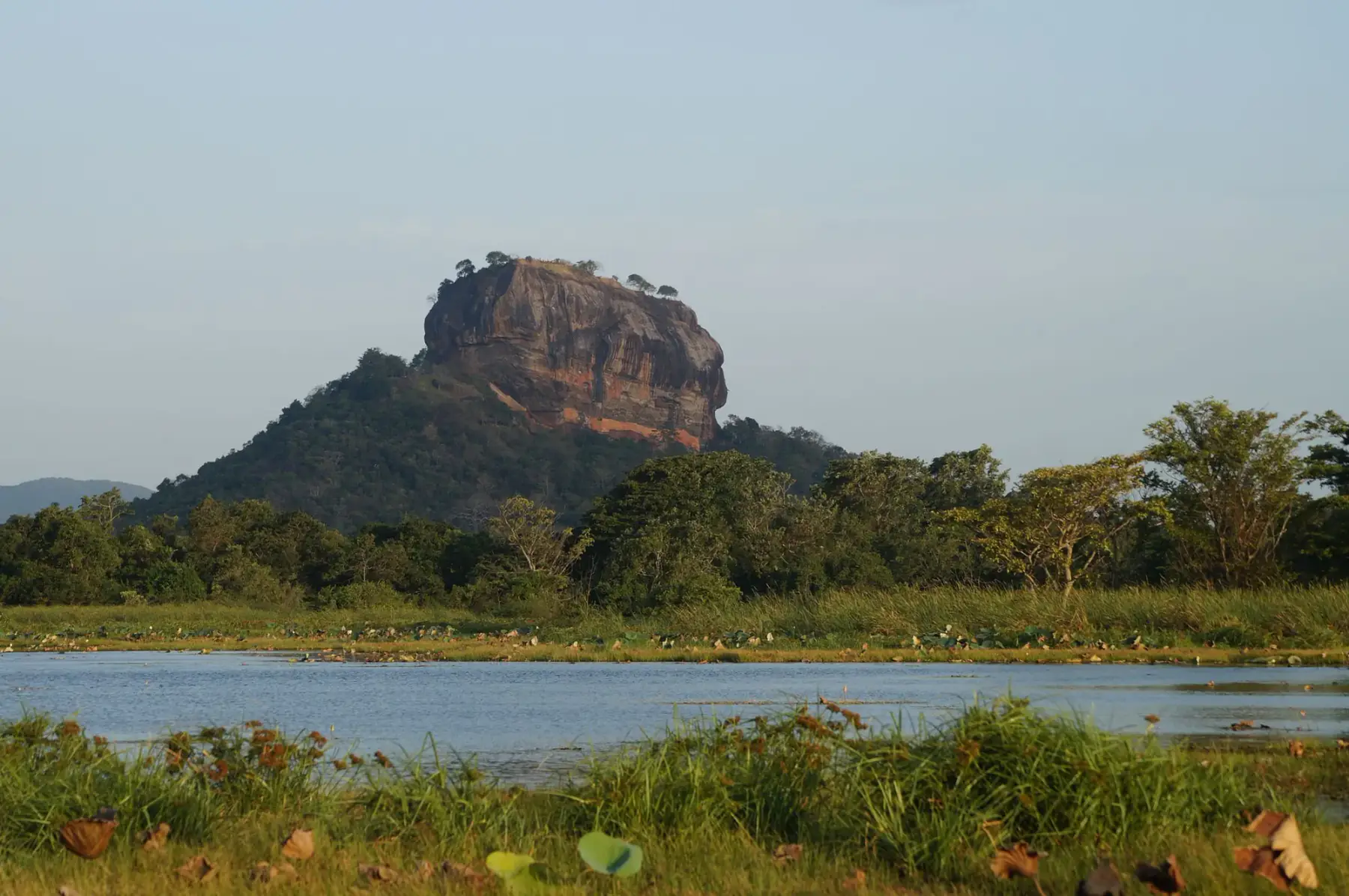 Sigiriya Rock Fortress rising above jungle and a lotus-covered lake at sunrise.